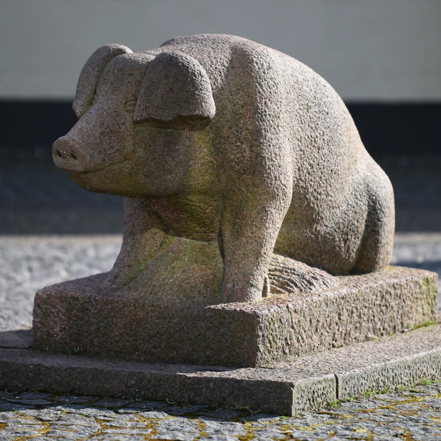 #19 Grenaa Grisen 